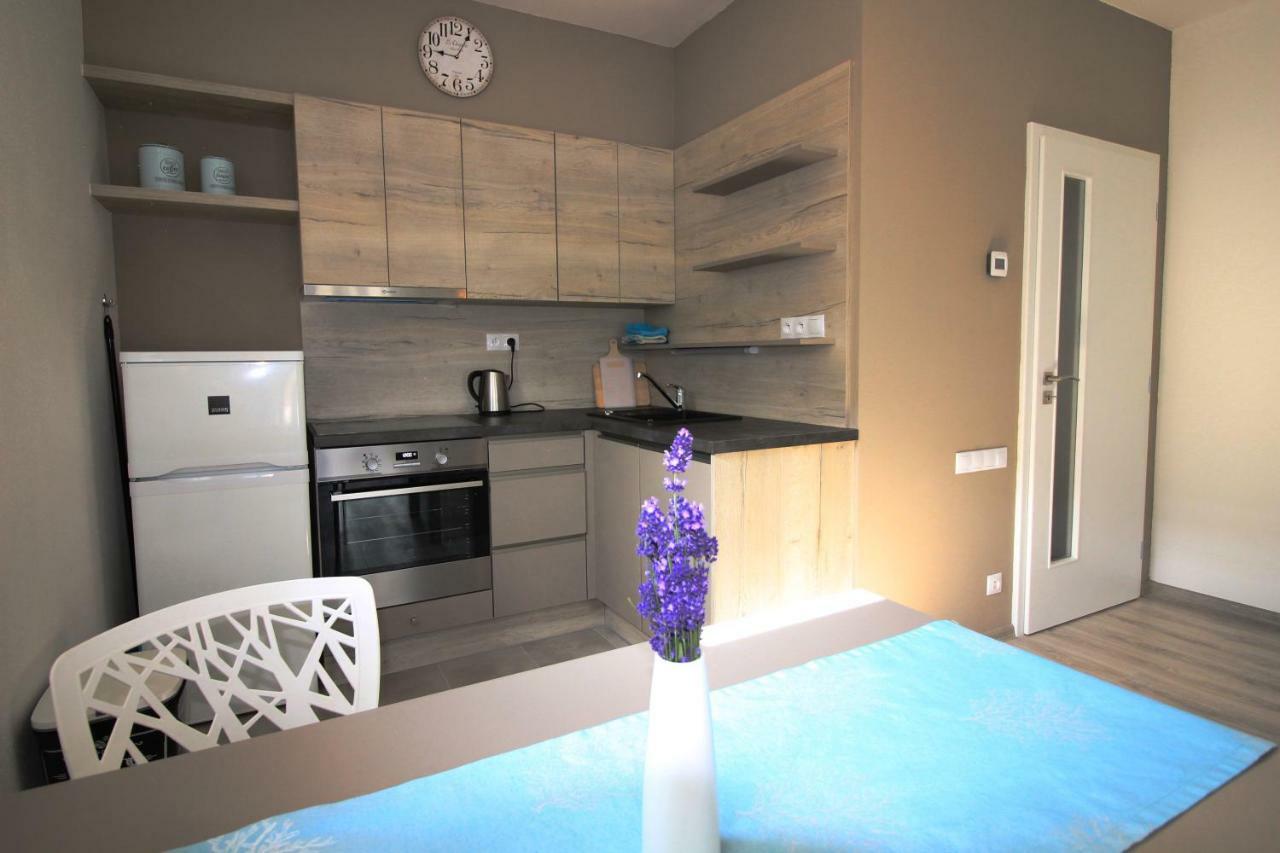 Apartman Lipno Korzo Apartment Lipno nad Vltavou Bagian luar foto